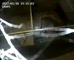 Caméra IP - Netherlands