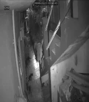 Caméra IP - Mauritius