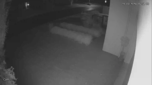 Caméra IP - Australia