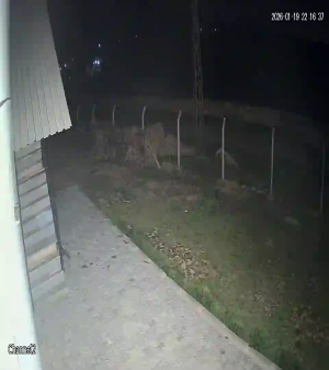 Caméra IP - Türkiye