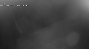 Caméra IP - United States of America