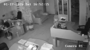 Caméra IP - Russian Federation