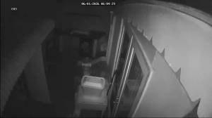 Caméra IP - Vereinigte Staaten von Amerika