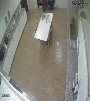 Caméra IP - United Arab Emirates