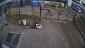 Caméra IP - Corea del Sud