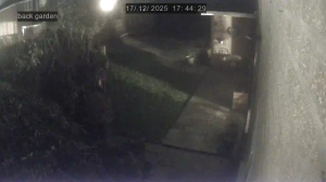 Caméra IP - Royaume-Uni