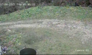 Caméra IP - Bosnie-Herzégovine