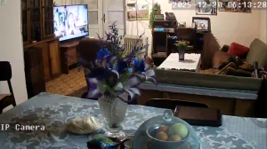 Caméra IP - Serbien