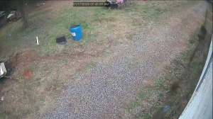 Caméra IP - United States of America