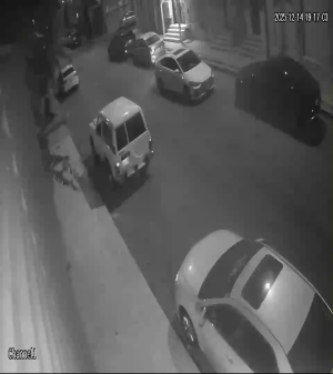 Caméra IP - Saudi Arabia