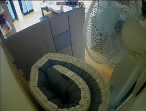 Caméra IP - South Korea