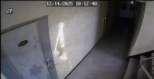 Caméra IP - Corée du Sud