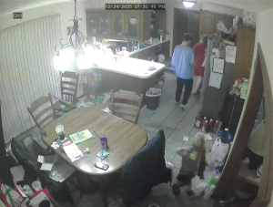 Caméra IP - Vereinigte Staaten von Amerika