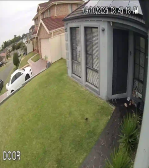Caméra IP - Australie