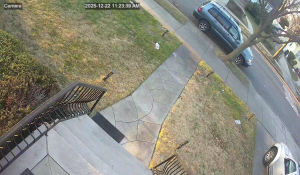 Caméra IP - Stati Uniti d'America