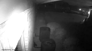 Caméra IP - United States of America