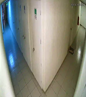 Caméra IP - Chili