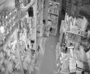 Caméra IP - Südkorea