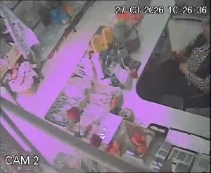 Caméra IP - Macedonia del Norte