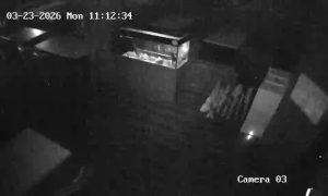 Caméra IP - Indonesia