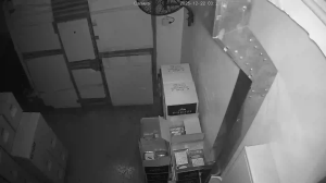 Caméra IP - Hong Kong