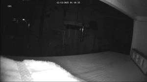 Caméra IP - Estados Unidos