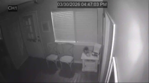 Caméra IP - United States of America