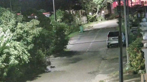 Caméra IP - Malaisie