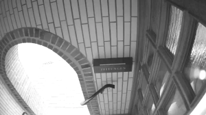 Caméra IP - Germany