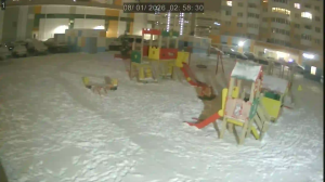 Caméra IP - Russische Föderation