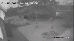 Caméra IP - Dinamarca