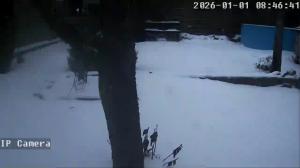 Caméra IP - República Checa