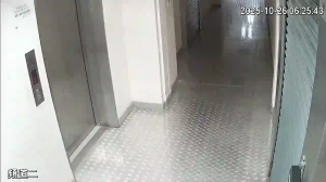 Caméra IP - Hong Kong