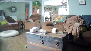 Caméra IP - Canadá