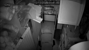 Caméra IP - República de Corea