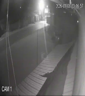 Caméra IP - Vietnam