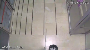 Caméra IP - Argentinien