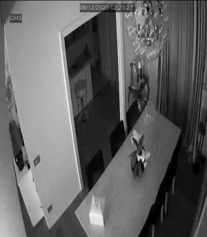 Caméra IP - Italien