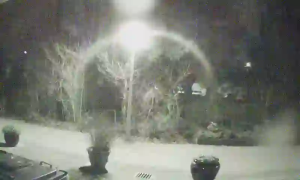 Caméra IP - Países Bajos