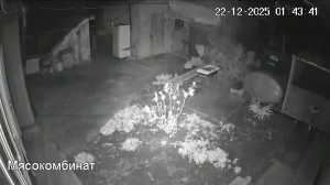 Caméra IP - Ukraine