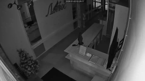 Caméra IP - Russian Federation