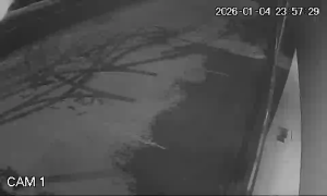 Caméra IP - Belgium