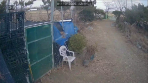 Caméra IP - South Korea