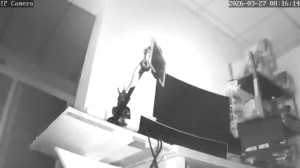 Caméra IP - Mexique