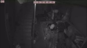 Caméra IP - Südkorea