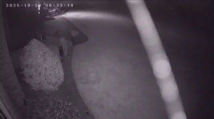 Caméra IP - United States of America