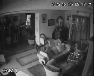 Caméra IP - Hungary