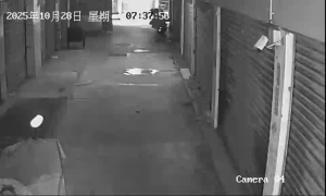 Caméra IP - Cina