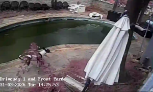 Caméra IP - Südafrika