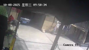 Caméra IP - China